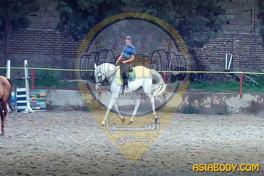 باشگاه سوارکاری ایران سوارکاران غرب