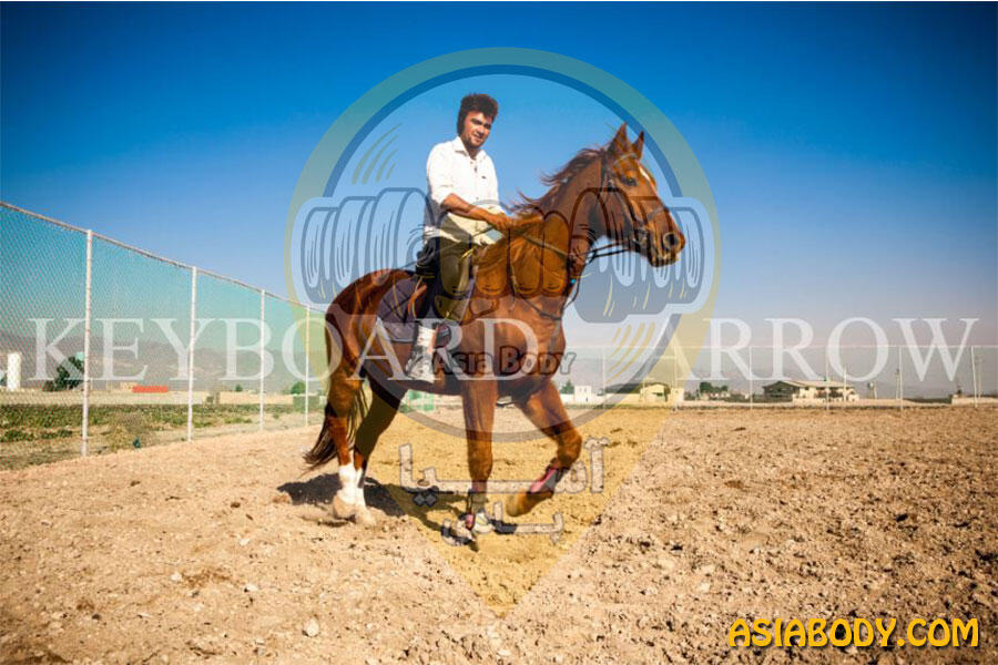 باشگاه سوارکاری دشت نیکان