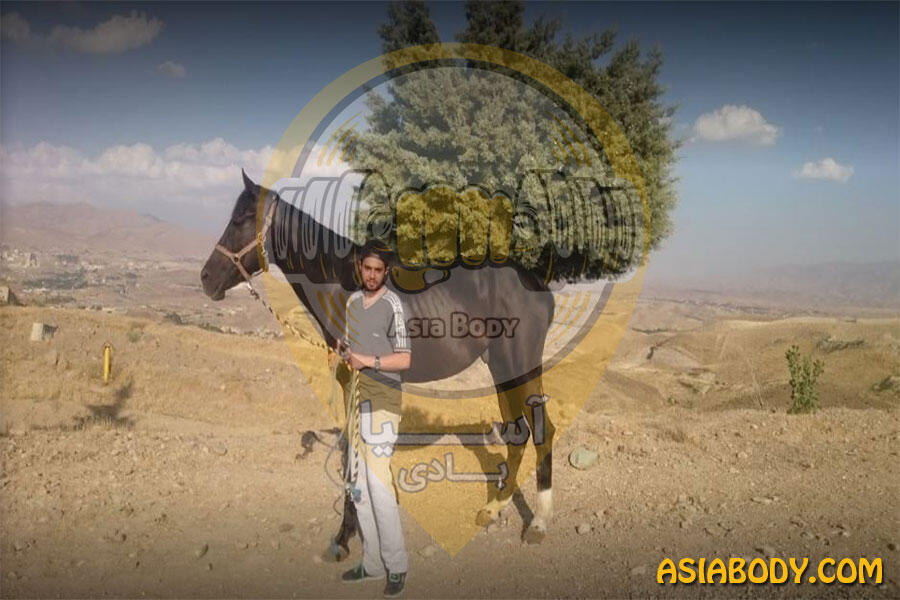باشگاه سوارکاری شایان شرق