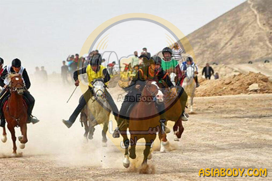 باشگاه سوارکاری طوفان اقلید