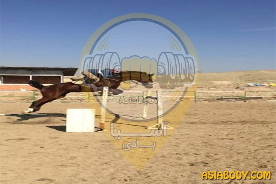 باشگاه سوارکاری فدک