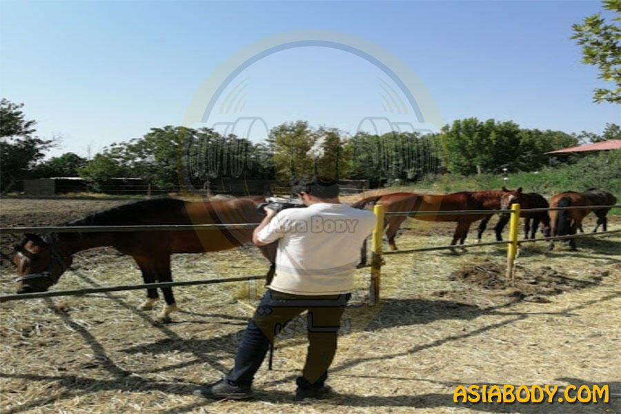 باشگاه سوارکاری هوشمند