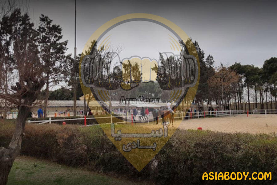 باشگاه سوارکاری و چوگان نوروزآباد 3