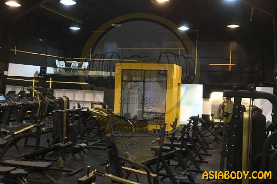باشگاه سینا