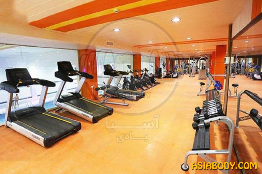 باشگاه صدف3