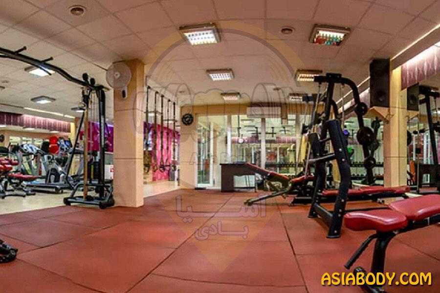 باشگاه فاخته
