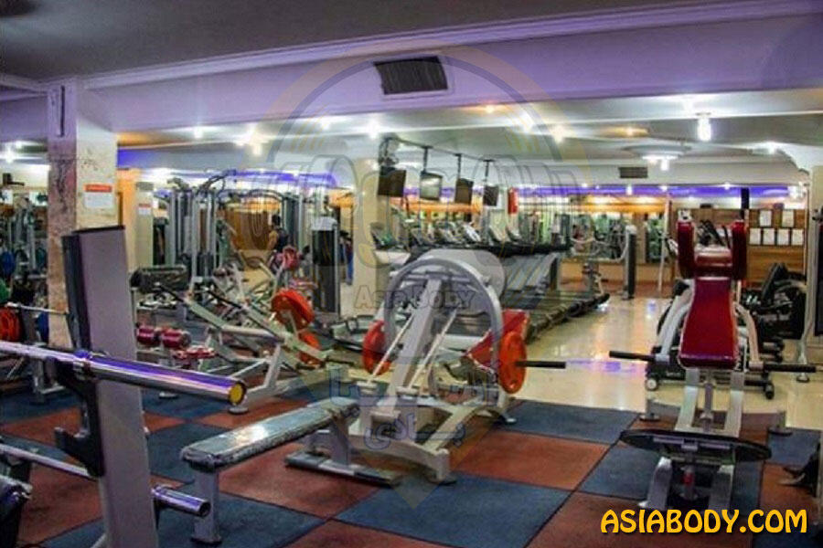 باشگاه هنر ورزش