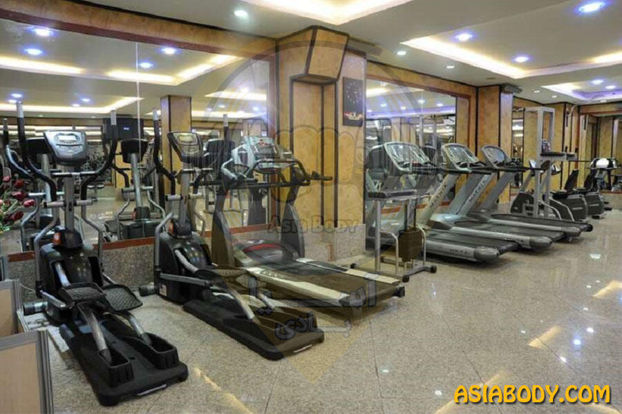 باشگاه پاشا3