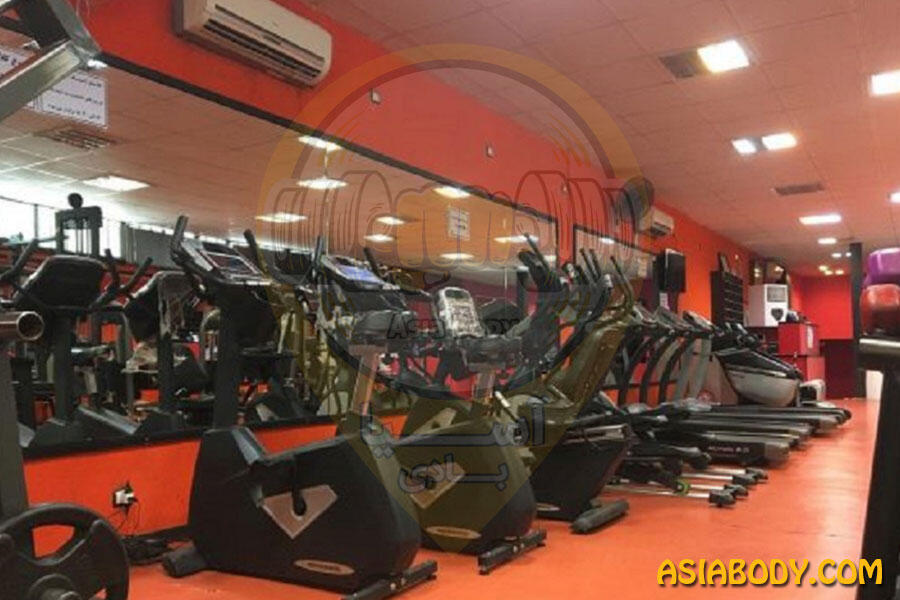 باشگاه پرندیس