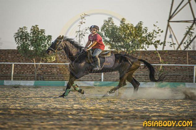 باشگاه سوارکاری آرام