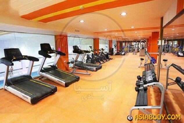 باشگاه صدف3
