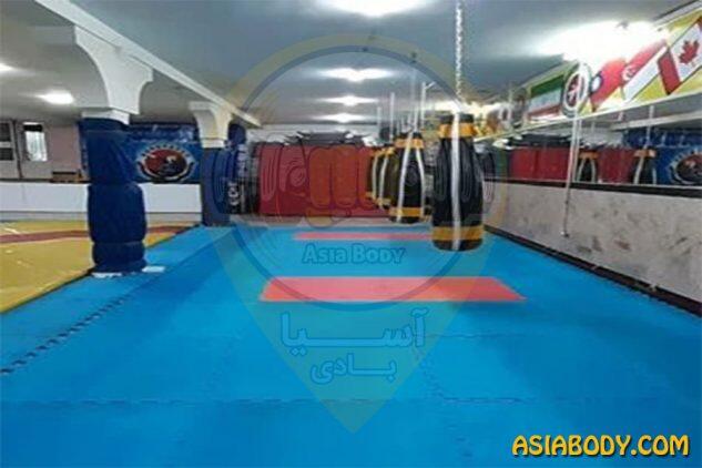 باشگاه ورزشی آرین رزم