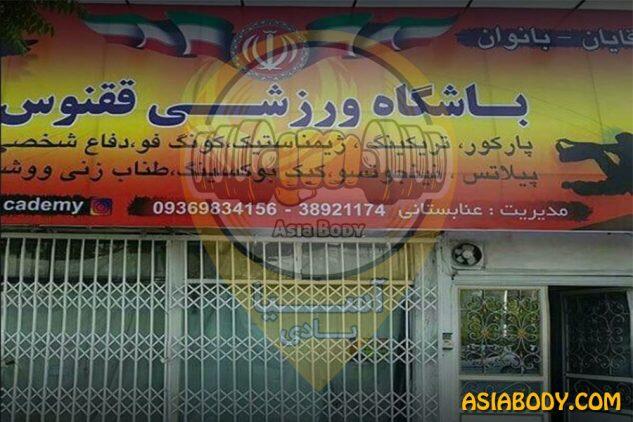 باشگاه بدنسازی ققنوس3