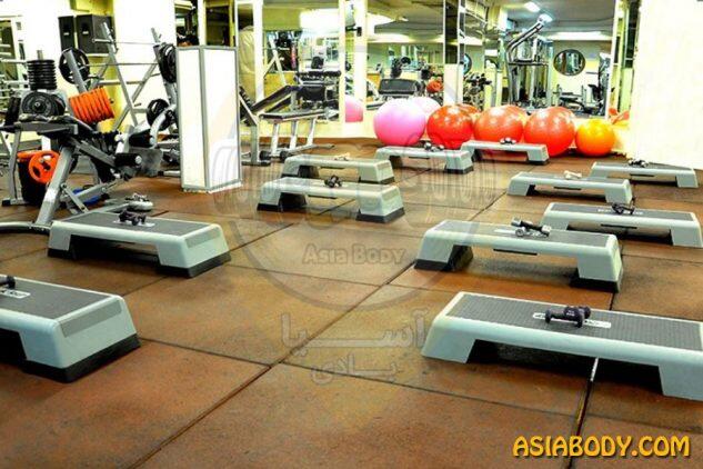 باشگاه میرداماد