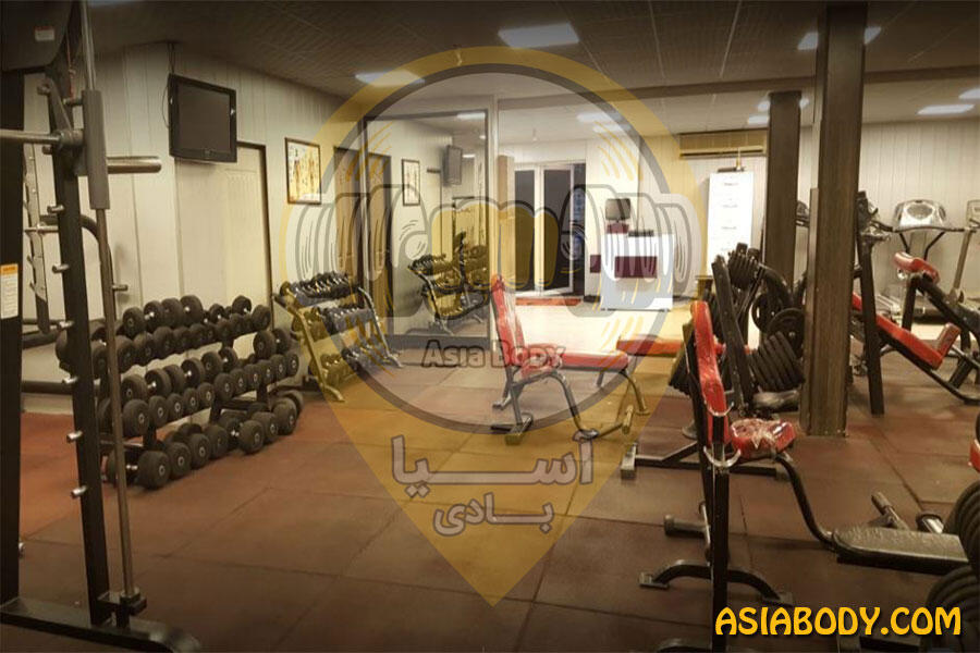 باشگاه بدنسازی ایلیا
