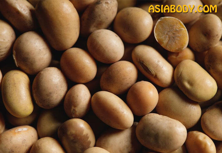 خواص سویا برای لاغری و سلامتی 3